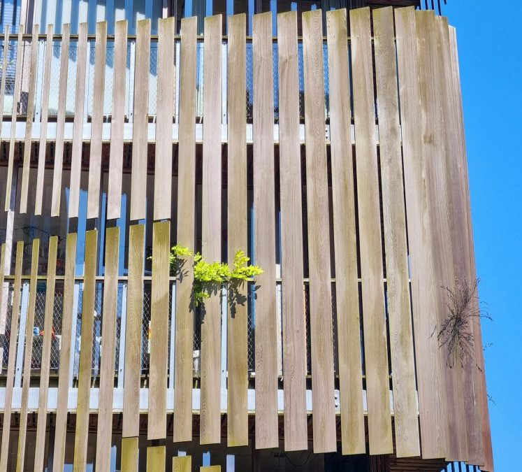 All You Need to Know About Cladding for Houses: A Complete Guide